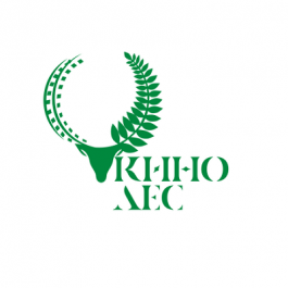 Новый Сопот Июля 2022 Года